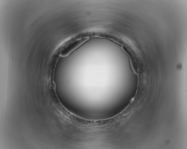 X0000095110872200712070917