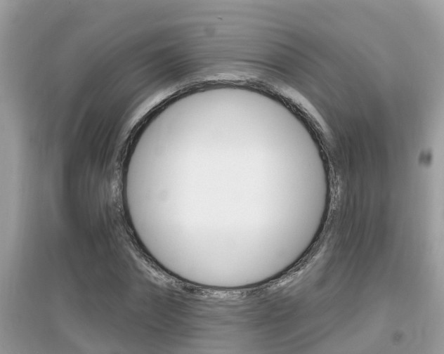 X0000095110874200712070917