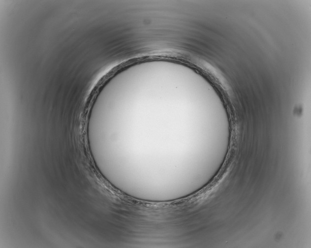 X0000095110875200712070917