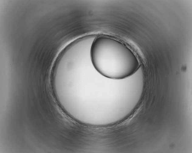 X0000095110876200712070917