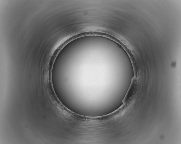X0000095110877200712070917