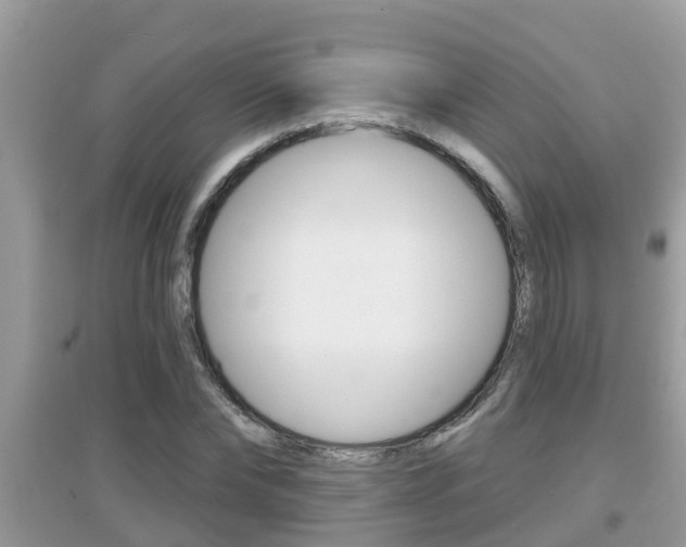 X0000095110878200712070917