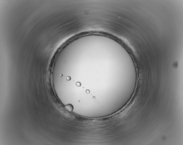 X0000095110879200712070917