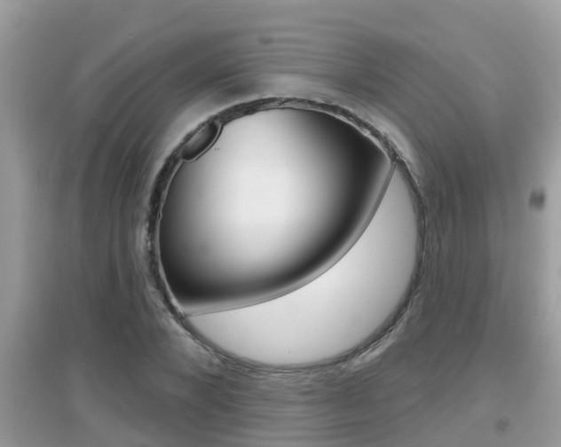 X0000095110880200712070917