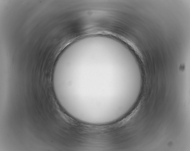 X0000095110881200712070917