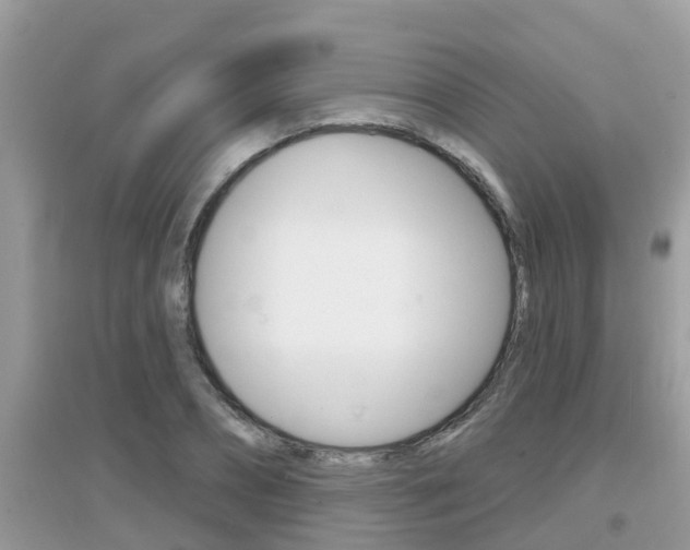 X0000095110882200712070917