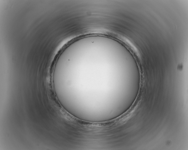 X0000095110883200712070917