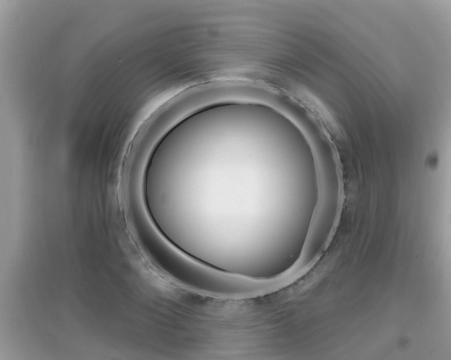 X0000095110884200712070917