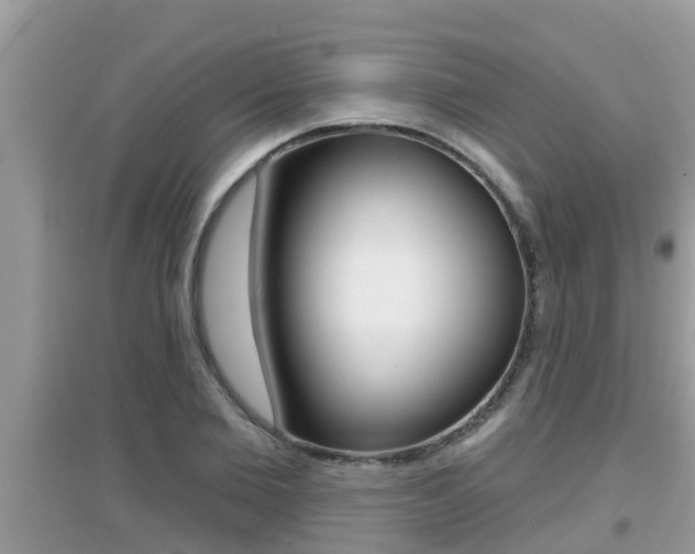 X0000095110885200712070917