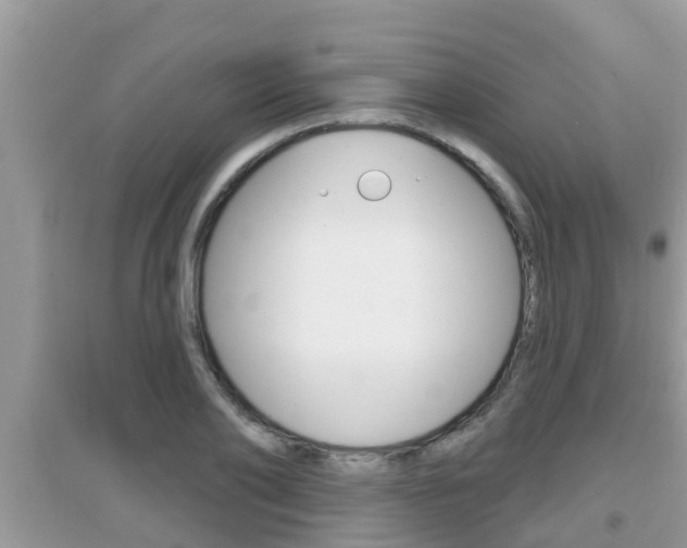 X0000095110886200712070917