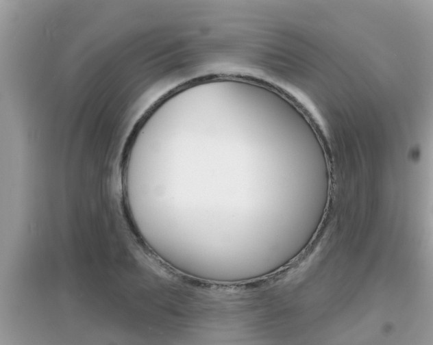X0000095110887200712070917