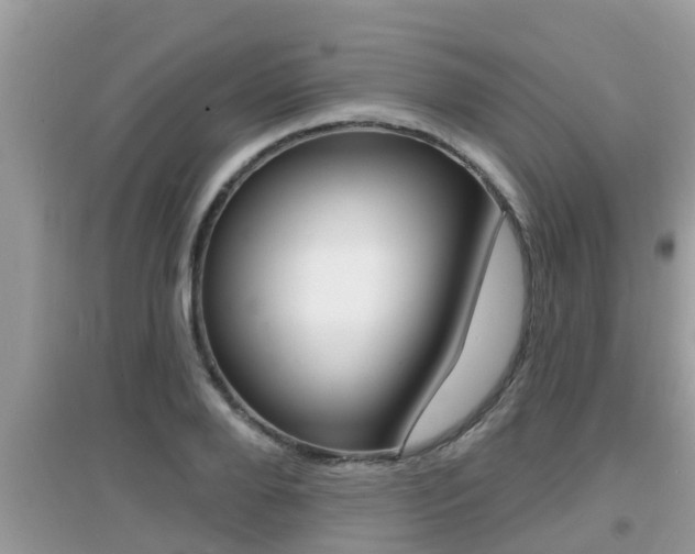 X0000095110888200712070917
