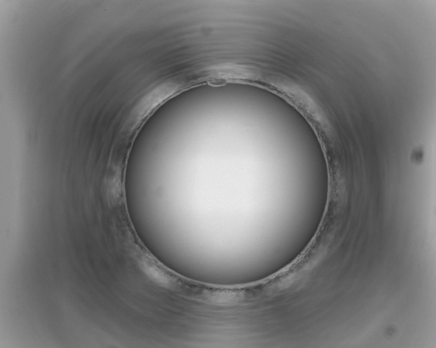 X0000095110889200712070917