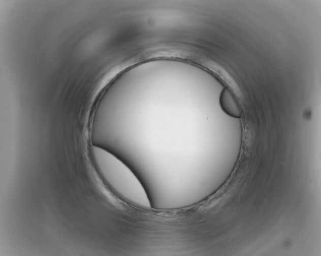 X0000095110890200712070917