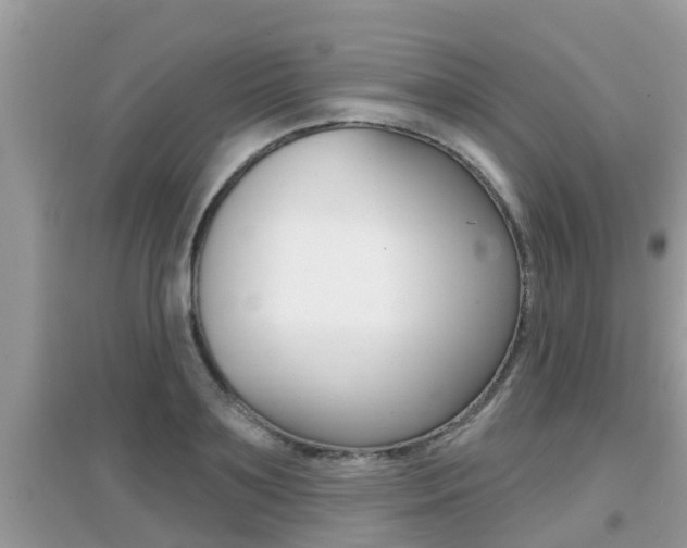 X0000095110891200712070917