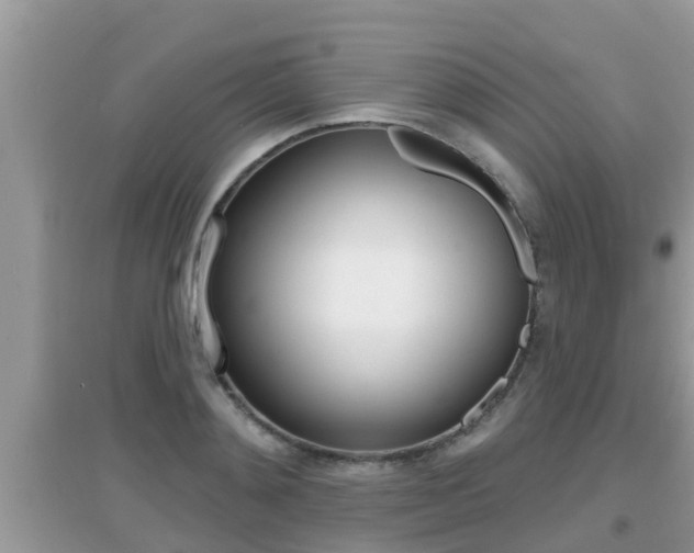 X0000095110892200712070917