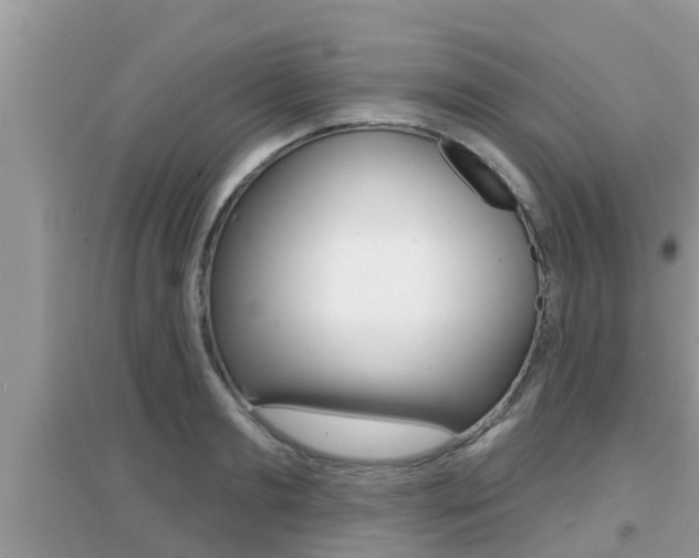 X0000095110893200712070917