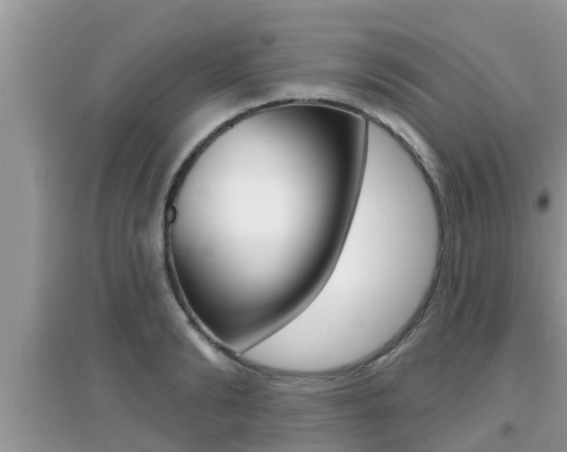 X0000095110894200712070917