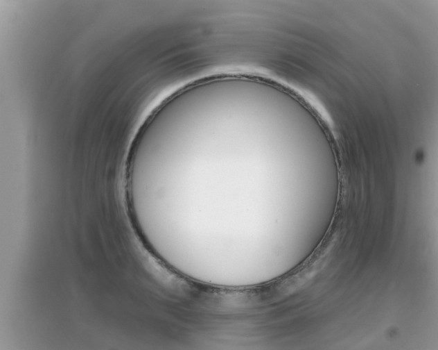 X0000095110895200712070916