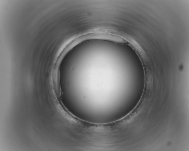 X0000095110896200712070916