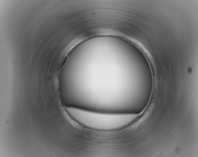 X0000095110897200712070916