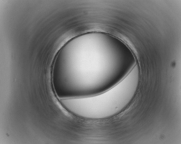 X0000095110898200712070916