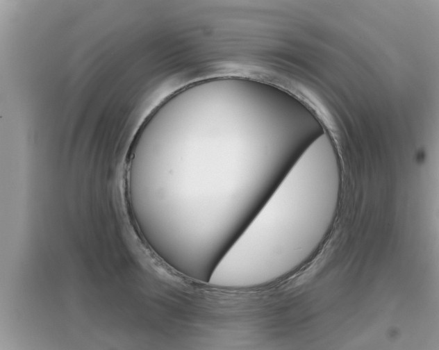 X0000095110899200712070916
