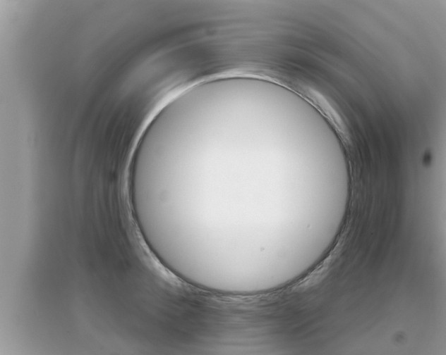 X0000095110900200712070916