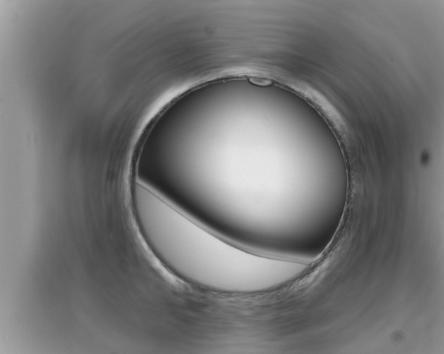X0000095110902200712070916