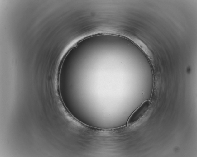 X0000095110904200712070916