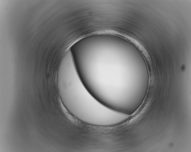 X0000095110905200712070916