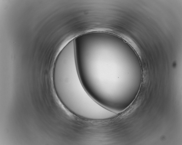 X0000095110906200712070916