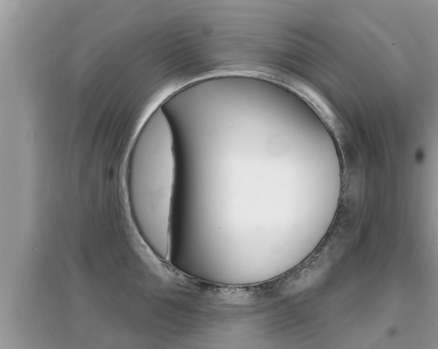X0000095110907200712070916