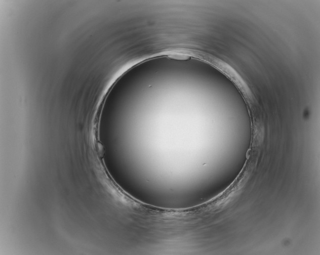 X0000095110908200712070916