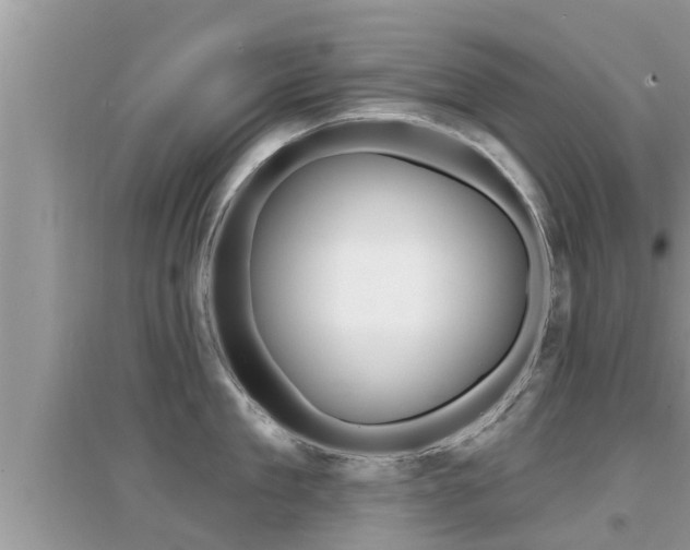 X0000095110909200712070916