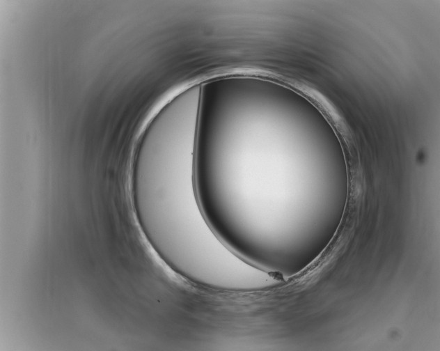 X0000095110910200712070916