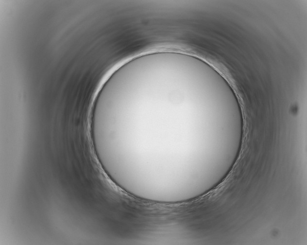 X0000095110912200712070916
