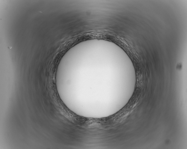 X0000095110913200712070916