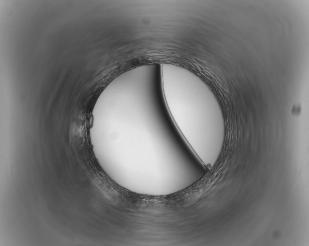 X0000095110914200712070916