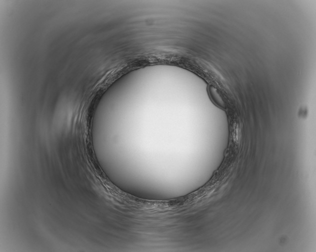 X0000095110915200712070916