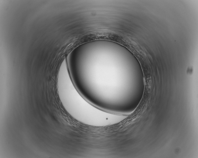 X0000095110916200712070916