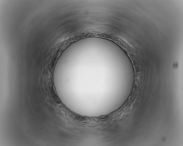 X0000095110917200712070916