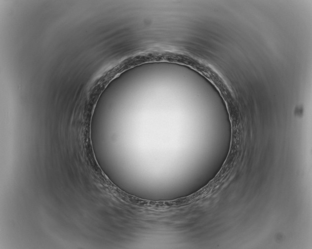 X0000095110919200712070916