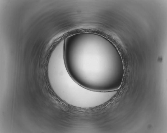 X0000095110920200712070916
