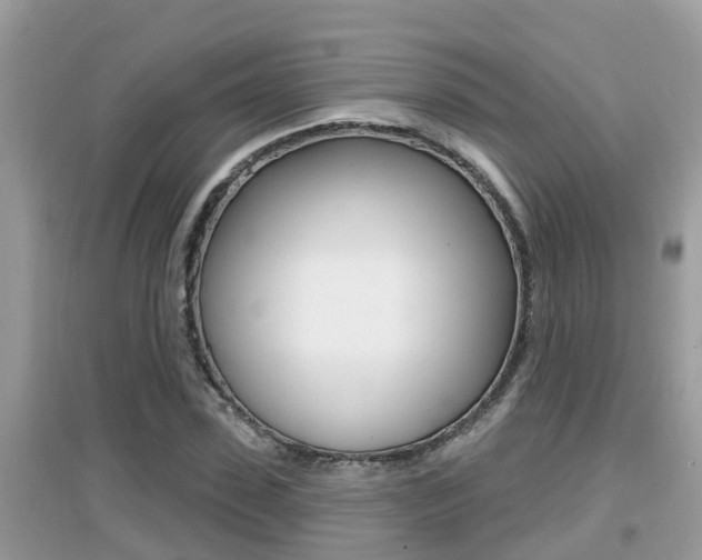 X0000095110923200712070916