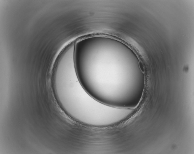 X0000095110924200712070916
