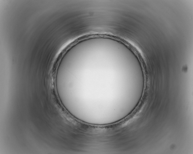 X0000095110925200712070916