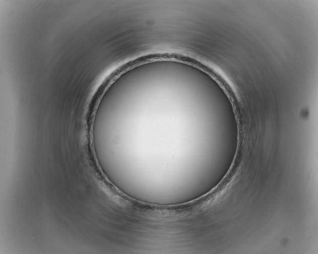 X0000095110927200712070916