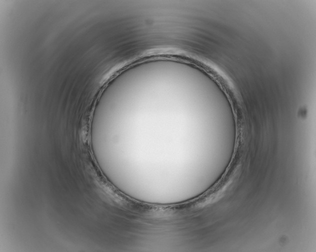 X0000095110929200712070916