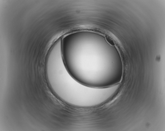 X0000095110930200712070916